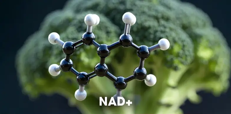 Ozelyt NAD+ Booster Complex  Ingredient1