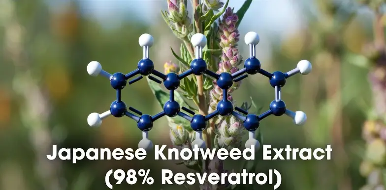  Ozelyt NAD+ Booster Complex  Ingredient3